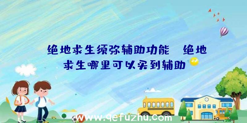 「绝地求生须弥辅助功能」|绝地求生哪里可以买到辅助